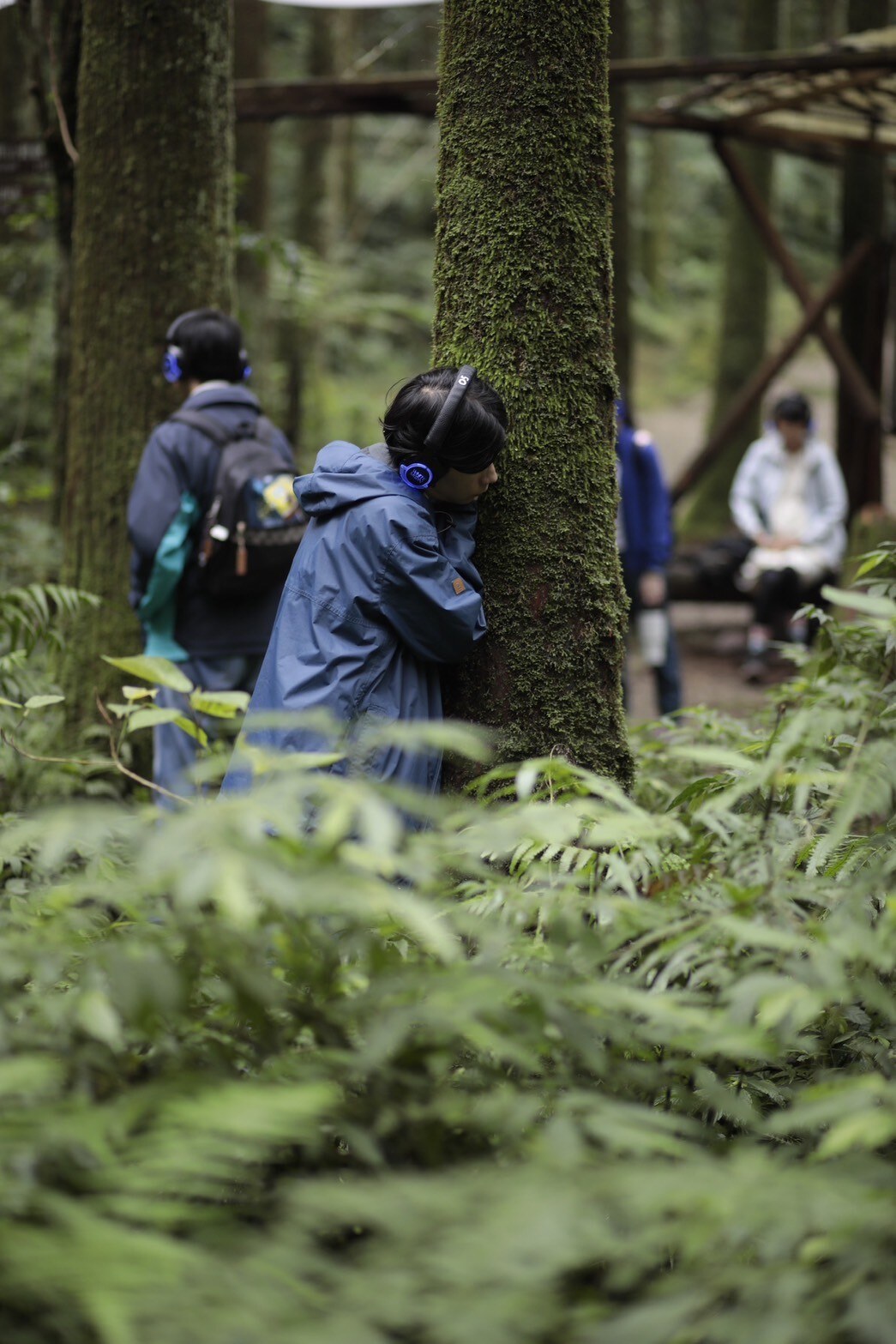 Participant in headphones resting their face against a moss-covered tree trunk in the forest, with other participants standing among the trees behind