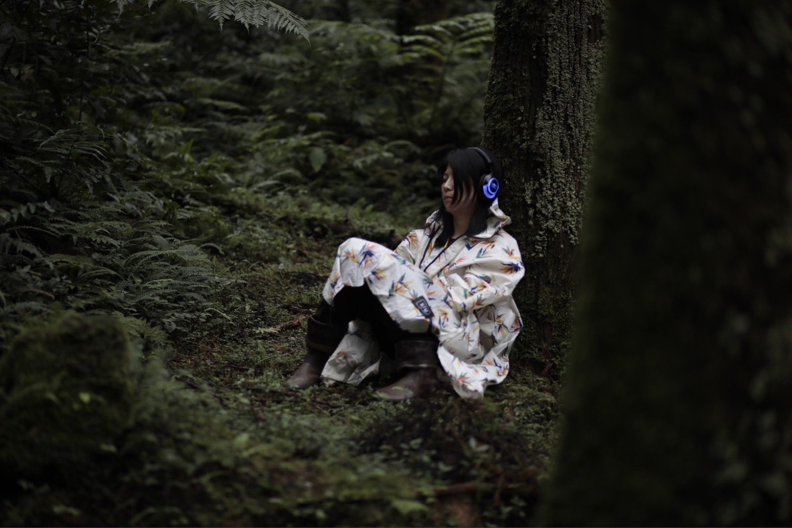 Becoming Part of the Forest, photo 1 of 10